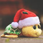 Turtle cotton